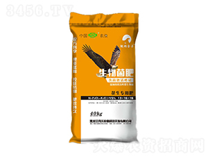 ���������������13-16-16-�����r(n��ng)�I(y��)