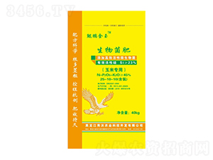 ���׌����������25-10-10-�����r(n��ng)�I(y��)