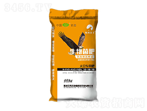 �󶹌����������12-18-10-�����r(n��ng)�I(y��)