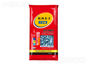 ʮ�|��΢�������-�����r(n��ng)�I(y��)