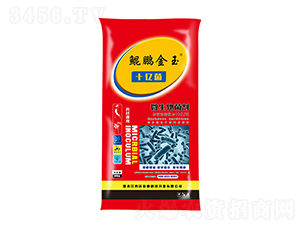 ˎ��ͨ��ʮ�|��΢�������-�����r(n��ng)�I(y��)