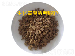 �����S������w��-��������