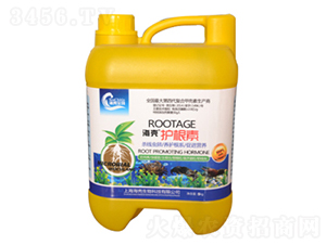 �����o(h��)����-��������