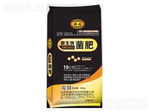 10�|΢�������-�³��r(n��ng)�I(y��)