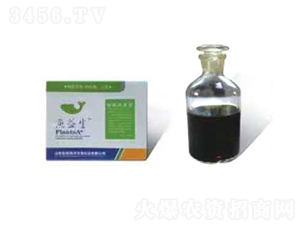 ø�⺣��Һ-���ú���