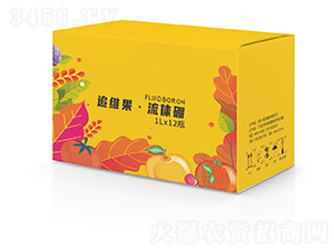 ׷�S�����w��-һ��