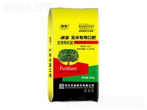 �������׌��ÿڷ�-�̽�