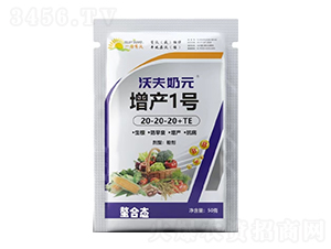 ���a(ch��n)1̖20-20-20+TE-�ַ���Ԫ-���ַ�