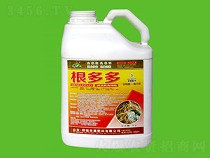 �����-�ѿ�