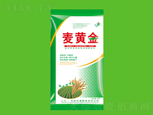 ���S��-�ѿ�