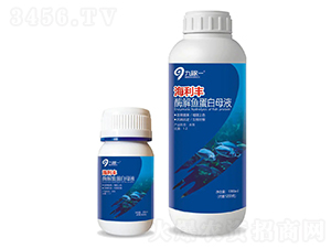 ø���~����ĸҺ-�����S-�ż�һ