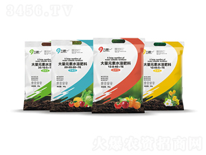 大量元素水溶肥（袋）-九稼一