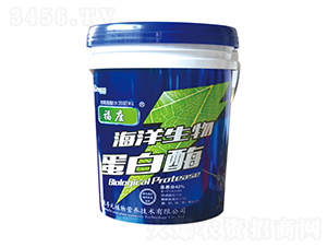 �������ﵰ��ø-��Ԫ