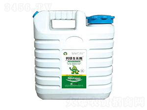 �}�V���Lø-��Ԫ