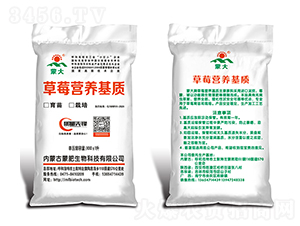 ��ݮ�I�B(y��ng)���|(zh��)-�ɷ�