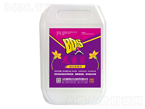 ΢�������-������-�ᵹɽ