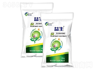 ΢�������-����-ԣ��߿�