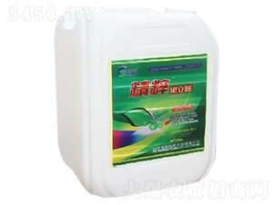 ���⣨������-ԣ��߿�