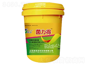 ΢�������-������-ԣ��߿�