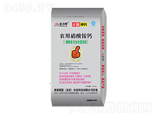 �r(n��ng)�������@�}-ʥ����-�W����˹