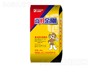 ��(f��)��΢�������-׃�ν���-�W����˹