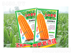 ���׷ʌ�-�_(d��)Ҳ����