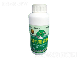 �������}�-ʩ����