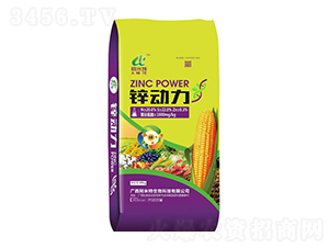 鋅動(dòng)力-阿米特