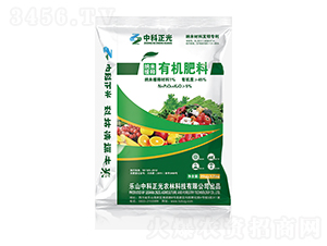 �{�׾���ЙC����-�п�����