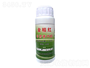 �|̦�؃�(n��i)֬-��ۼt���B(t��i)