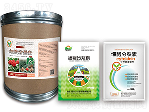 ��(x��)��������-��(zh��n)܇(ch��) 