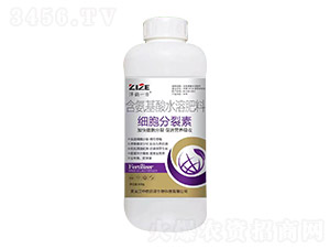 ��(x��)��������-���һ��-���r(n��ng)��� 