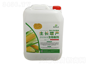 SM-034�������L���a�����Ƅ�-�ΰ�������