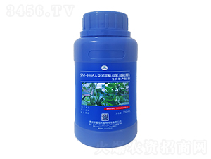 SM-038A�󶹳����Y�v���������L���a�Ƅ���250ml��-�ΰ�������