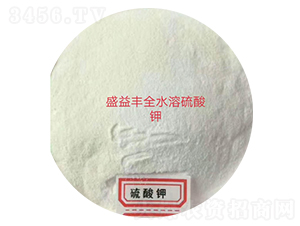 ȫˮ�������-ʢ���S