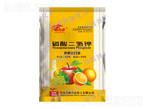 ���ڼ���������-������-�����d�_����