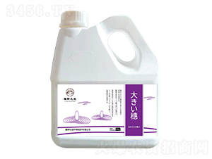 ���루ˮ�����L���뵾���ࣩ-��Ұ����