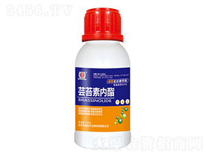 �|̦�؃�(n��i)��-�����S