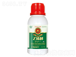 ��ϩ��-�����S