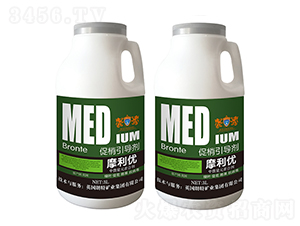 ����������-Ӣ����