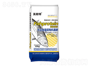 �󶹵����ЙC(j��)����-Ӣ����