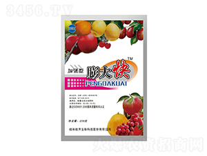 200g�ӏ�������-���_