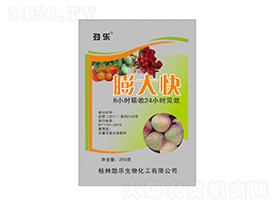 250g�Ř�����-���_