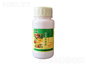 �׹��l(f��)����-���_