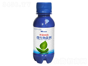 �~�Ƅx��΢�������-�°��~��