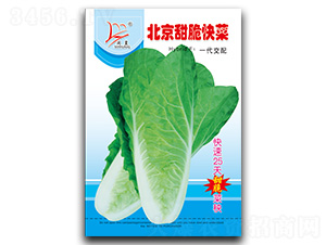 ���������-��˷N��-�}�ʷN�I(y��)