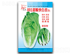 001�����̦-��̦�N��-�}�ʷN�I(y��)