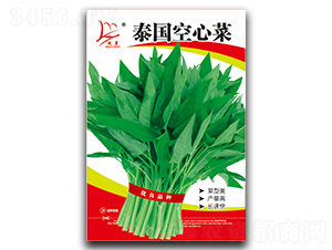 ̩�����Ĳ�-���Ĳ˷N��-�}�ʷN�I(y��)