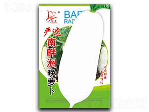 ��(y��n)�x���������}��-�}���N��-�}�ʷN�I(y��)