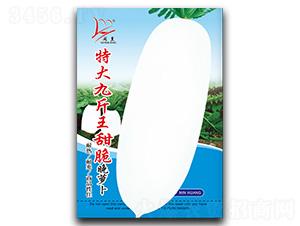 �ش�Ž���������}��-�}���N��-�}�ʷN�I(y��)